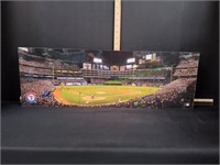 30"x10" 2012 MLB Texas Rangers Panoramic Wall Art
