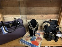 Miscellaneous Shelf Deal-jewelry, purse, camera bg
