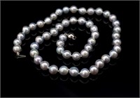 Natural silver akoya pearl necklace