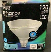 Feit Electric 120W LED Light Bulb