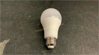 Ecosmart Light Bulb
