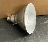 Feit Electric Light Bulb