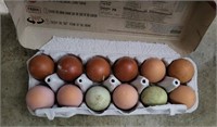 1 Dozen Assorted Fertile Chicken Eggs