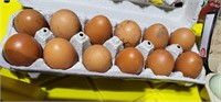 Black Copper Maran 1 dozen fertile eggs.