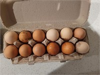 1 dozen Farm fresh egg unwashed