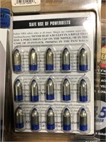 45 Rounds of  45cal Blk Powder bullets