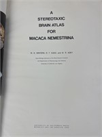 1969 Stereotaxic Brain Atlas For Macaca Nemestrina