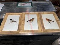 (3) BIRD PRINTS W/ MATCHING FRAMES