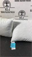 Set of (2) Shredded Memory Foam Pillows
