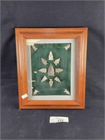 Framed Collection Of Arrow Heads