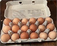 18pack Fresh unwashed chicken eggs