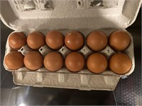 1 dozen Dark Fertile Eggs