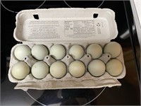 1 dozen Green Farm Fresh Eggs