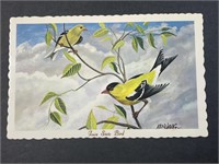 Vintage 1966 Iowa State Bird Postcard