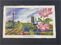 Vintage 1973 Iowa State Flower Postcard