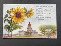 Vintage State Flower of Kansas Postcard Stamped