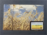 Vintage Kansas Postcard with Rural America Stamp