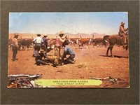 Vintage Kansas Stamped Postcard