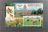 Vintage Postcard Greetings from Kentucky