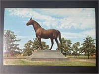 Vintage "Man O'War" Statue Kentucky PPC Postcard