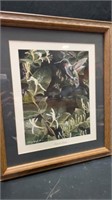 Signed & numbered hummingbird picture