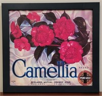 Camellia Advertising Framed Print