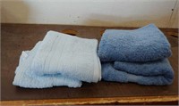 (2) Hand Towels