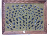 Collection Of Sharks Teeth Mounted On Framed