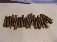 22 Rounds Ammunition