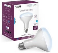 Feit Electric Smart BR30 Wifi Bulb, 5000K Dayligh