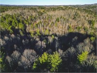 Offering 5 - 26.1 Acres