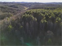 Offering 6 - 55.1 Acres
