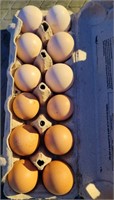 1 dozen fertile chicken eggs