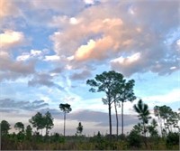 Invest in One Acre: Polk County, FL!