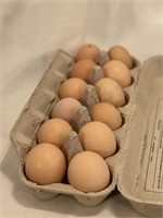 1 dozen Barnyard Mix fertile Eggs