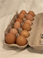 1 dozen  Barnyard Mix fertile Eggs