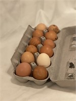 1 dozen  Mix fertile Eggs