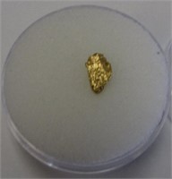.6 Gram  Alaskan Gold Nugget