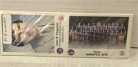 1984-85 Winnipeg Hockey cards