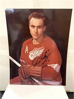 Red Kelly  9x 11"