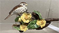 B. Kuhlman Song sparrow bird