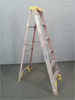 Werner 6' Aluminum & Fiberglass Step Ladder