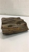 Piece of Rainbow Petrified Wood U15A