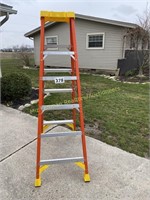 Werner 6 ft professional Ladder - 300 lbs Capacity