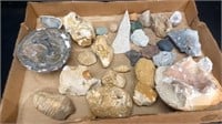 Box Lot of 25+ Smaller Fossils, Minerals, etc