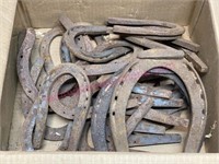 Box of mule & horse shoes