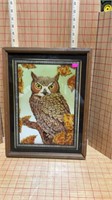 Framed picture of Hootie