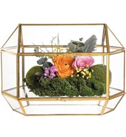 New Glass terrarium / wedding card box