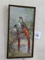 Vintage Bird Picture