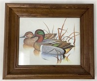 Framed Duck Print by Gregory Messier